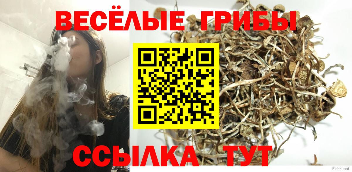 Балахна  Псилоцибиновые грибы Psilocybe  Вход с VPN  продажа наркотиков  Псилоцибиновые грибы MAGIC MUSHROOMS 